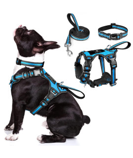 Winsee Pet Harness Collar And Leash Set, All-In-One Reflective Dog Harness No Pull With Adjustable Buckles For Puppies, Small, Medium, Large, And Extra-Large Dogs (Medium, Blue)