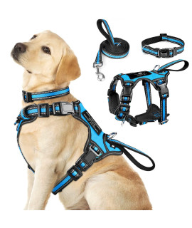 Winsee Pet Harness Collar And Leash Set, All-In-One Reflective Dog Harness No Pull With Adjustable Buckles For Puppies, Small, Medium, Large, And Extra-Large Dogs (Large, Blue)