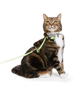 Petco Brand - YOULY Green Glow in The Dark Cat Harness & Lead