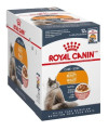 Royal Canin Intense Beauty Chunks in Gravy Adult Cat Food, 3 oz, Case of 12 Pouches (Packaging May Vary)