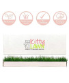 KittyLawn,Cat Real Grass Lounge Perch, Window Perch, Premium Cat Window Seat, Cat Window Seat Bed
