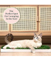 KittyLawn,Cat Real Grass Lounge Perch, Window Perch, Premium Cat Window Seat, Cat Window Seat Bed