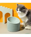 Hapiso Tilted Elevated Cat Dog Bowls,Ceramic Raised Cat Bowls,Large Porcelain Pet Feeder Bowl Protect Pet's Spine