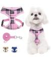 Scenereal Puppy Harness And Leash Set - Soft Mesh No Pull Vest Small Dog Padded Harness For Puppies & Cats