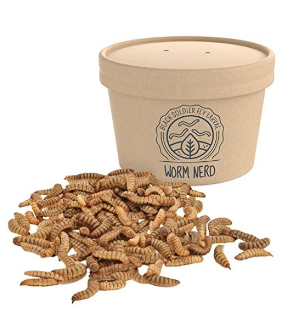 Arcadia Garden Products WN50 Black Soldier Fly Larvae-Large-Pack 1000, High-Protein Live Feeder for Reptiles, Amphibians, Birds, Fish, Chickens,