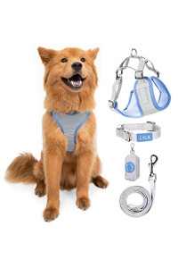 Reflective Dog Collar and Leash Set with Reflective Dog Vest Harness for Small Dogs and Dog Poop Bag Holder - Dog Accessories for Night Walking (Powder Blue, Small)