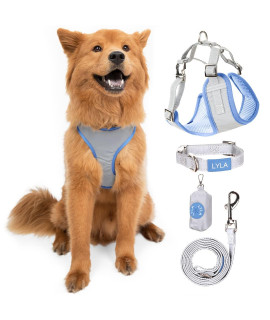 Reflective Dog Collar and Leash Set with Reflective Dog Vest Harness (Powder Blue, Medium)