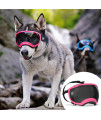 Rex Specs V2 Dog Goggles (Large, Neon Pink)