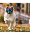 Rex Specs V2 Dog Goggles (Small, Neon Blue)