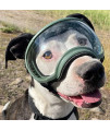 Rex Specs V2 Dog Goggles (Small, Army Green)