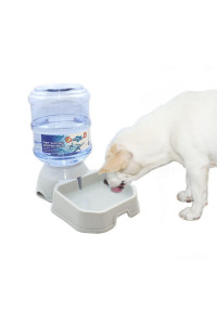 Automatic Dog Cat Water Dispenser,Gravity Multi Pet Drinking Fountain,Set With Pet Food Bowl For Medium Dog Puppy Kitten, 1 Gallon Large Capacity (Waterer)