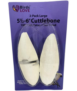 Birds LOVE 72 Packs of 2 per Pack (144 cuttlebones) 5.5" - 6" Cuttlebone for Cockatiels Parakeets Budgies Finches Canaries Lovebirds Small Conures African Greys All Parrots, Full Case