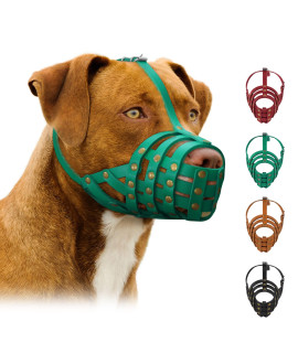 Pitbull Dog Muzzle Leather Amstaff Staffordshire Terrier Breathable Basket With Adjustable Straps Black Brown Green Red (Mint Green)
