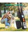 PECOLE Dog Shock Collar - Dog Training Collar with Remote 1600FT, 3 Training Modes with 99 Adjustable Levels, Rechargeable Waterproof E-Collar with Security Lock for All Breeds and Sizes