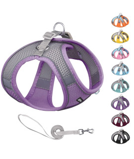 Aiitle Step In Dog Harness And Leash Set - No Pull Escape Proof Vest Harness With Soft Mesh And Reflective Bands, Adjustable Pet Outdoor Harnesses For Small And Medium Dogs Purple M