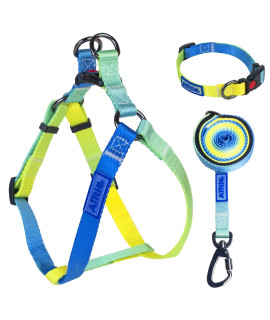 Aiitle Step In Dog Harness Collar Leash Set - Adjustable Heavy Duty No Pull Halter Harness - Buckle With Locking System,Double D Ring - Walking Running For Small Medium Large Dogs,Blue Gradient L