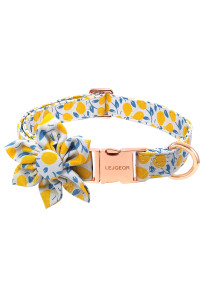 Dog Collar With Flower For Girl Dog,Puppy Dog Collar Cute Girl Dog Collars With Safety Metal Buckle Adjustable Floral Pattern Dog Collar For Puppy Small Medium Large Dogs (M, Flower 3)