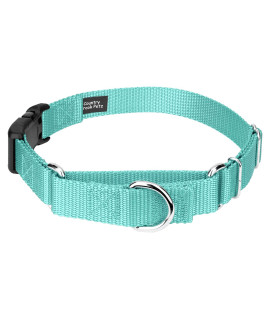 Country Brook Petz - Light Cyan Heavyduty Nylon Martingale with Deluxe Buckle - 30+ Vibrant Color Options (1 Inch, Large)