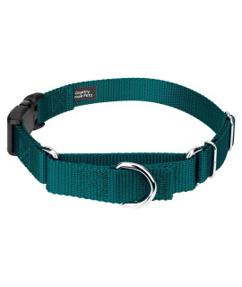 Country Brook Petz - Teal Heavyduty Nylon Martingale with Deluxe Buckle - 30+ Vibrant Color Options (1 Inch, Medium)