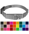 Country Brook Petz - Silver Heavyduty Nylon Martingale with Deluxe Buckle - 30+ Vibrant Color Options(1 Inch, Medium)