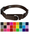 Country Brook Petz - Brown Heavyduty Nylon Martingale with Deluxe Buckle - 30+ Vibrant Color Options (5/8 Inch, Extra Small)