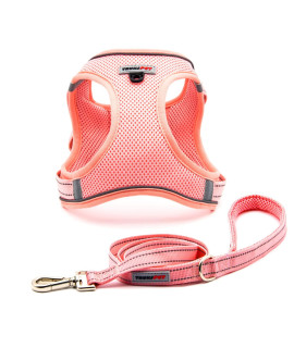 Trukspet Dog Harness And Leash Set, Step In No Pull Dog Harness Adjustable Reflective Padded Mesh Fabric Dog Vest For Extra-Smallsmall Medium Dogs And Cats-Xs-Pink