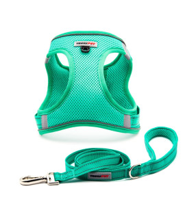 Trukspet Dog Harness And Leash Set, Step In No Pull Dog Harness Adjustable Reflective Padded Mesh Fabric Dog Vest For Extra-Smallsmall Medium Dogs And Cats-L-Lightgreen