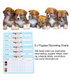 WEEGEEKS Whelping Kit,Whelping Kit for Puppies Birth with 12pcs Whelping Collars,Puppy Feeding Tube etc,Newborn Puppy Whelping Supplies