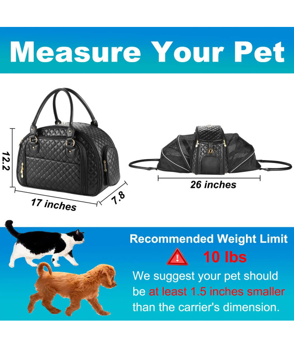  NewEle Fashion Pet Carrier, Small Dog Carrier, Cat