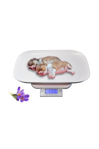 Flyvyan Digital Pet Scale, Puppy Scale for Whelping, Kitten Scale with Foldable LED Display, Small Animal Scale for Cat/Rabbit, Weight Max 33 lbs, Removable Tray Size 14 x 9.5 " (White)