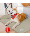 PetAmi Waterproof Dog Blanket Sherpa Fleece, Waterproof Pet Blanket Small Medium Dogs, Reversible Large Cat Throw Bed Couch Sofa Furniture Protector, Soft Plush Microfiber (Medium 29x40, Taupe)