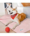 PetAmi Waterproof Dog Blanket Sherpa Fleece, Waterproof Pet Blanket for Medium Large Dogs, Reversible Cat Throw Bed Couch Sofa Furniture Protector, Soft Plush Microfiber (Large 40x60, Pink)