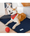 PetAmi Waterproof Dog Blanket Sherpa Fleece, Waterproof Pet Blanket for Medium Large Dogs, Reversible Cat Throw Bed Couch Sofa Furniture Protector, Soft Plush Microfiber (Queen 90x90, Blue/Gray)