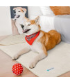 PetAmi Waterproof Dog Blanket Sherpa Fleece, Waterproof Pet Blanket for Small Medium Dogs, Reversible Large Cat Throw Bed Couch Sofa Furniture Protector, Soft Plush Microfiber (Small 24x32, Beige)
