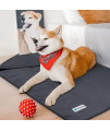 PetAmi Waterproof Dog Blanket Sherpa Fleece, Waterproof Pet Blanket for Medium Large Dogs, Reversible Cat Throw Bed Couch Sofa Furniture Protector, Soft Plush Microfiber (Large 40x60, Gray)
