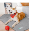PetAmi Waterproof Dog Blanket Sherpa Fleece, Waterproof Pet Blanket Small Medium Dogs, Reversible Large Cat Throw Bed Couch Sofa Furniture Protector, Soft Plush Microfiber (Medium 29x40, Light Gray)