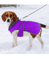 Winter Dog Coat, Dogcheer Fleece Collar Dog Jacket Warm Vest Reflective Adjustable Dog Sweater for Cold Weather, Windproof Waterproof Pet Apparel Snow Coat for Small Medium and Large Dogs