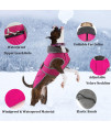Dogcheer Dog Coat, Christmas Dog Winter Jacket Puppy Cold Weather Coats with Thick Padded, Reflective Dog Sweater Waterproof Windproof Pet Warm Vest Clothes for Small Medium Large Dogs