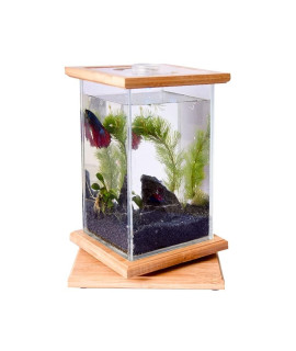 Transparent Bubble Flower Pot Creative Transparent Glass Office Home Desktop Desktop Desktop Fish Tank Ecological Tank Rotatable Small Fish Tank Container Fish Tank (Color : A)