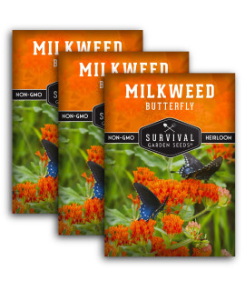 Butterfly Milkweed Seeds For Planting - 3 Packs With Instructions To Grow Asclepias Tuberosa - Attract Butterflies & Help Conservation - Non-Gmo Heirloom Open-Pollinated - Survival Garden Seeds