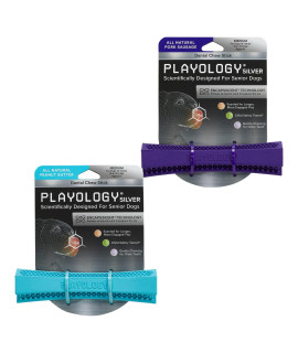 Playology Silver Dental Chew Stick Dog Toys, Medium 2-Pack - Designed For Senior Dogs (15-35Lbs) - Engaging All-Natural Pork Sausage Peanut Butter Scented Toy - Moderate Chewing For Older Teeth