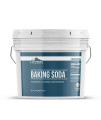 Earthborn Elements Baking Soda (2 Gallons) Sodium Bicarbonate, Cooking, Cleaning Deodorizing