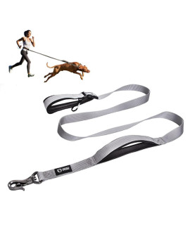 Tspro Hands Free Dog Leash Adjustable Walking Running Dog Leash With Control Safety Padded Handle And Heavy Duty Clasp For Small Medium Large Dogs(Silver)