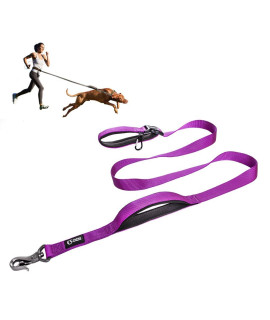 Tspro Hands Free Dog Leash Adjustable Walking Running Dog Leash With Control Safety Padded Handle And Heavy Duty Clasp For Small Medium Large Dogs(Purple)