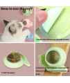 Kayina Catnip Wall Ball, 3-Piece Cat Toys, Edible Cat Licking Toy, Cat Chew Toy, Teeth Cleaning Cat Bite Toy, Rotatable Indoor Cat Toy, Cat Wall Decoration(Snails)