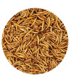 Dried Mealworms - 100% Natural, Non-GMO, High Protein, Bulk Insect Treat for Chicken, Laying Hen, Chick, Wild Bird, Bluebird, Duck, Goose, Turkey, Chickadee, Titmice, Wren, Reptile, Fish (10 lb.)