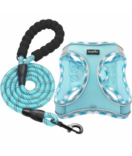 Haapaw Dog Harness With Leash Set, No Pull Adjustable Reflective Step-In Puppy Harness With Thickened Padded Vest For Extra-Smallsmall Medium Dogs