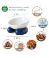 PhiDor Slow Feeder Cat Food Bowls Anti Vomiting, Small Dog 15