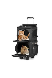 2-in-1 Dual Cabin Design Cat Carrier with Removable Wheels for Small Cats and Dogs, Adjustable Portable Cat Travel Carrier, Super Ventilated Design, Ideal for Traveling/Camping/Trip to The Vet (Black)