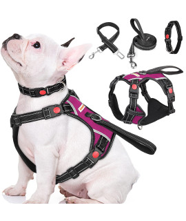 Babyltrl No Pull Dog Harness With Leash & Collar, Adjustable Dog Vest Harness Reflective Oxford No-Choke Soft Pet Harness For Small Medium Large Dogs Easy Control Harness (Rosered, Medium)